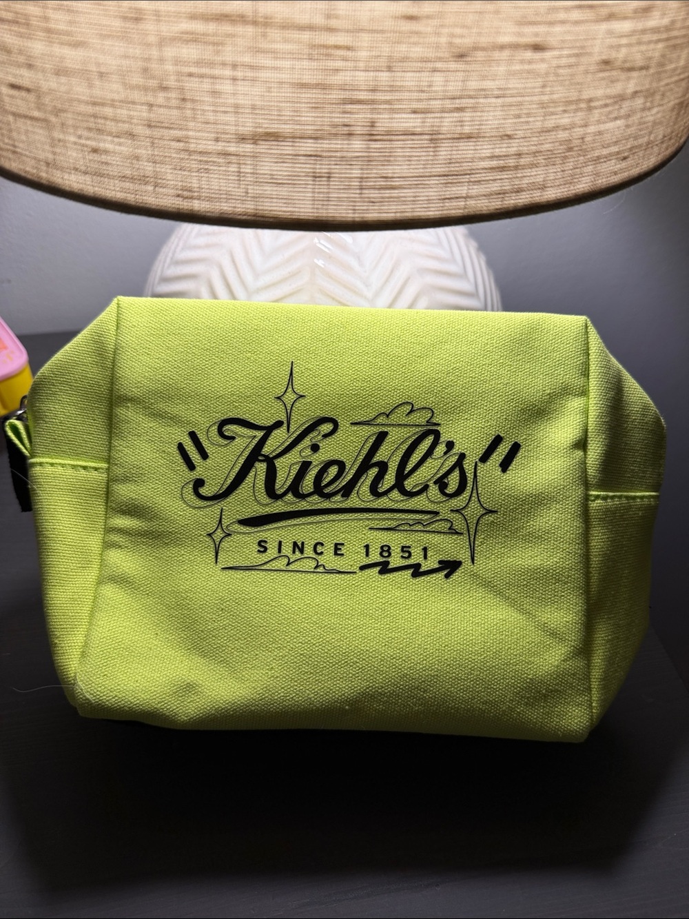 Kiehls makeup cosmetic pouch and samples